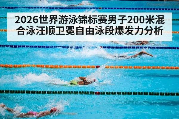 2026世界游泳锦标赛男子200米混合泳汪顺卫冕自由泳段爆发力分析