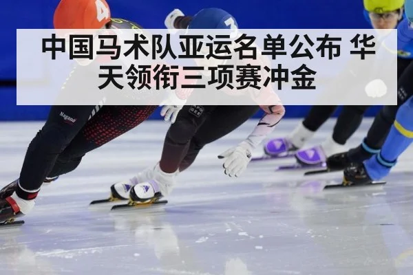 中国马术队亚运名单公布 华天领衔三项赛冲金