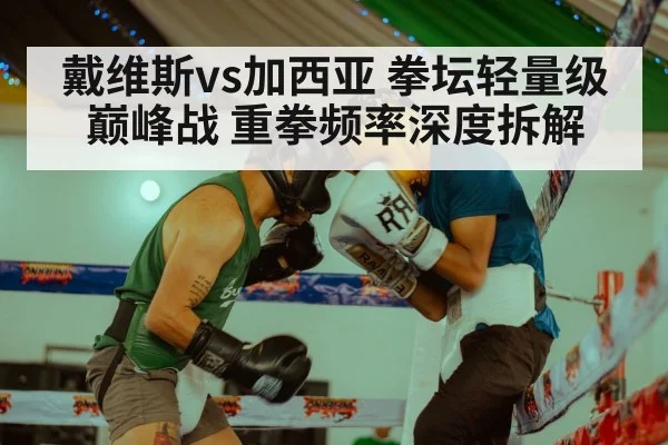 戴维斯vs加西亚 拳坛轻量级巅峰战 重拳频率深度拆解