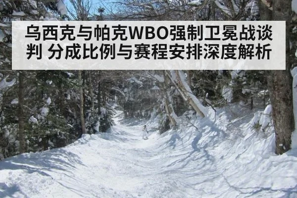 乌西克与帕克WBO强制卫冕战谈判 分成比例与赛程安排深度解析