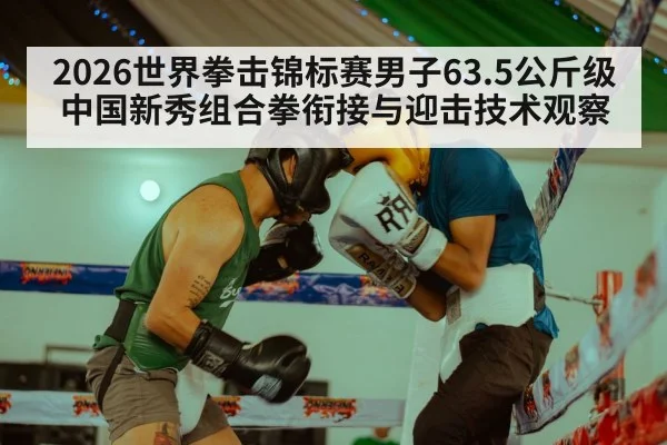 boxing match punch action